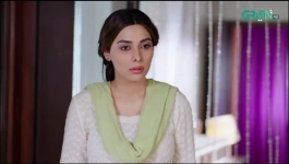 Mohabbat Aur Mehangai - Episode 08